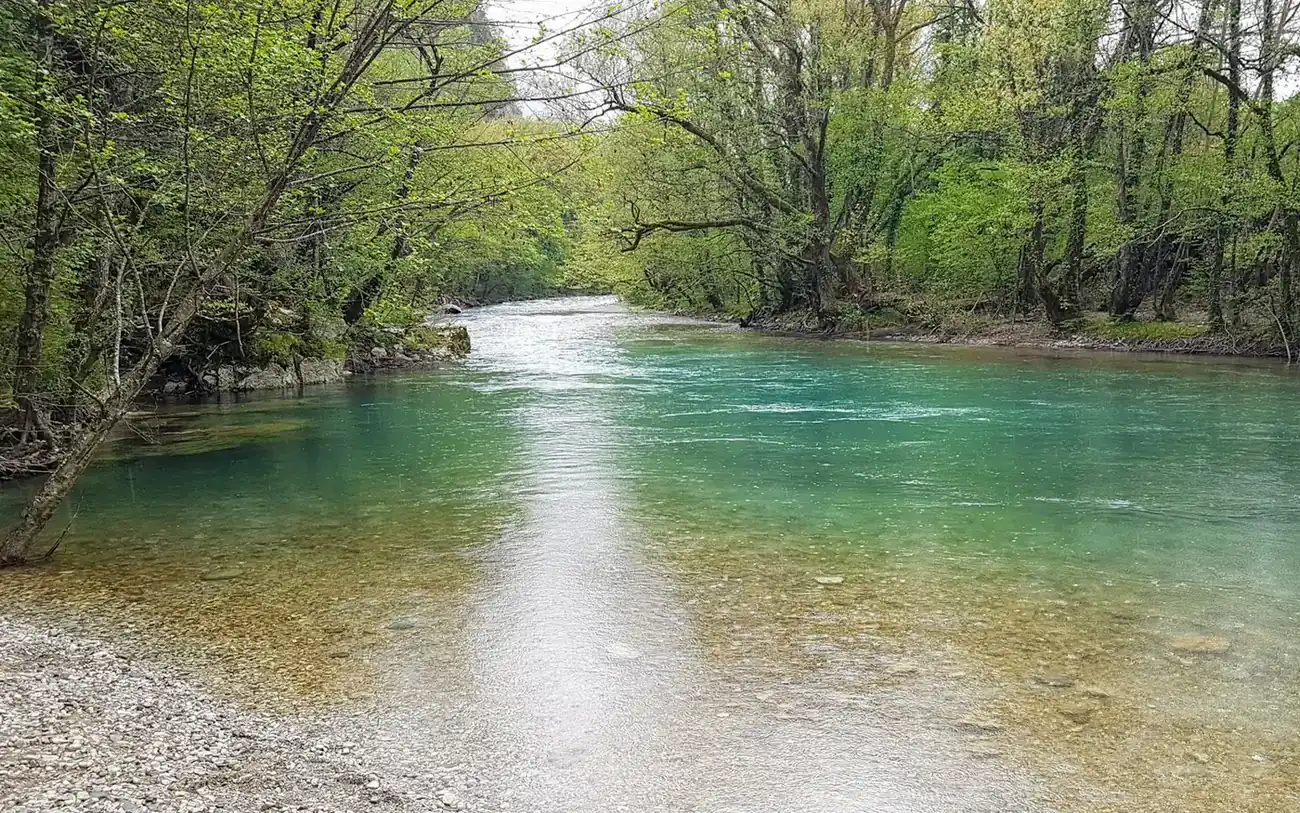 Río de agua clara y verdosa que corre entre árboles frondosos